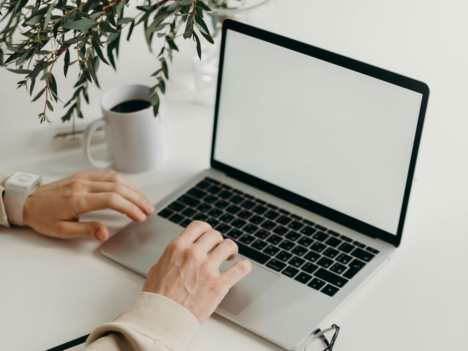 A clean and modern workspace featuring a laptop, houseplant, and notebook.